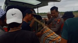 Proses evakuasi petani di Toili yang tewas tersengat listrik jebakan tikus (Istimewa)