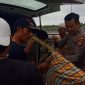 Proses evakuasi petani di Toili yang tewas tersengat listrik jebakan tikus (Istimewa)