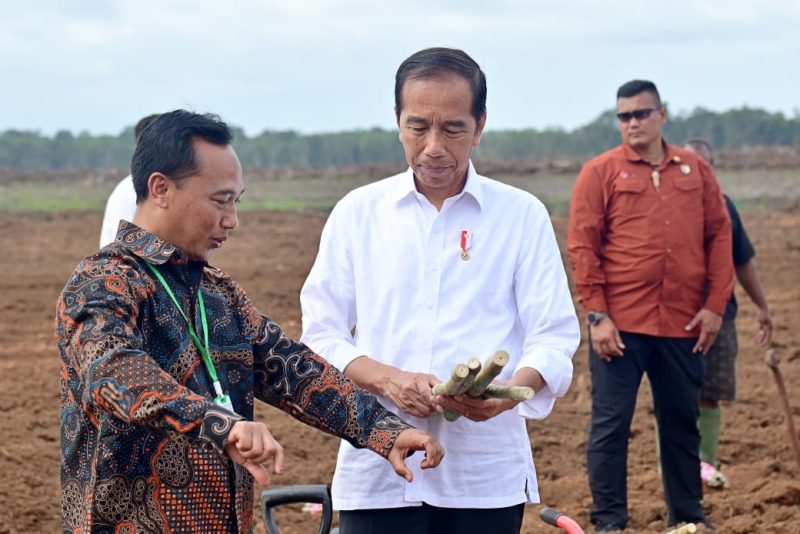 Presiden Jokowi memegang bibit tebu yang akan di tanam (Biro Pers dan Media Presiden RI)