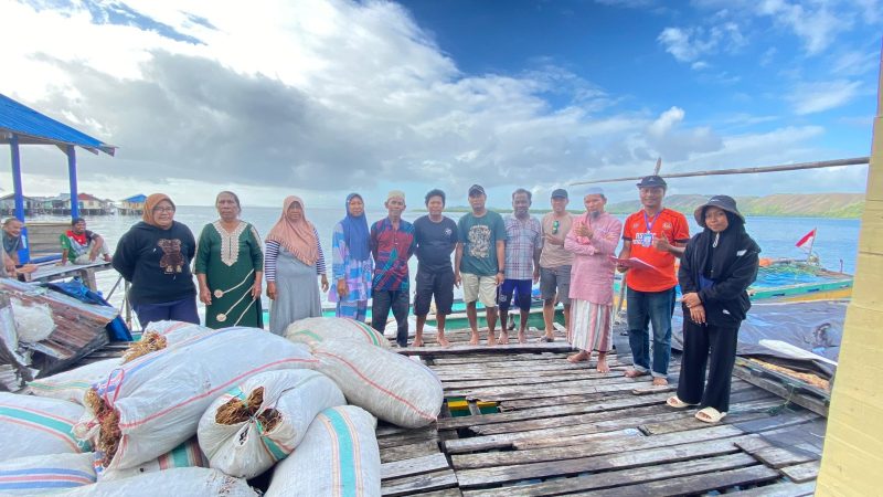 Penyaluran bantuan bibit rumput laut (Istimewa)
