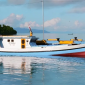Hendak di Jual ke Kendari, 2 Ton Ikan Hasil Destructive Fishing Asal Banggai Laut Berhasil Diamankan Ditpolairud